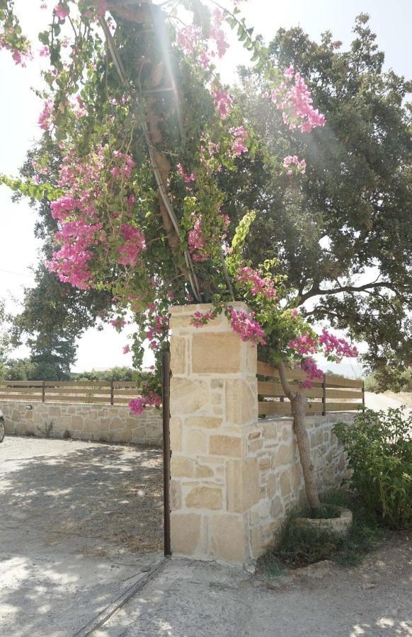 Studio Eleni - Oasis Holiday Houses Kokkinos Pirgos Esterno foto