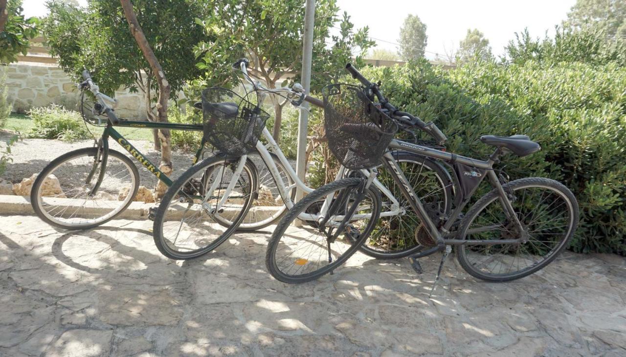 Studio Eleni - Oasis Holiday Houses Kokkinos Pirgos Esterno foto